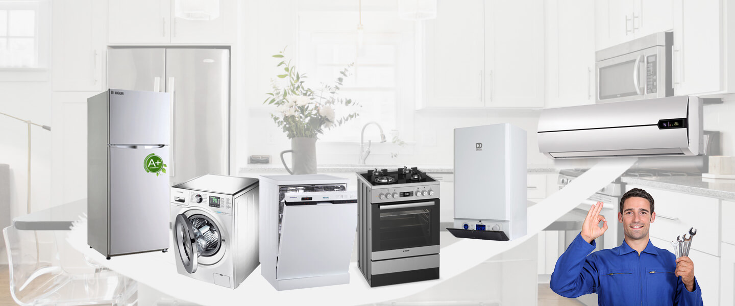 Doğanhisar Electrolux Servisi